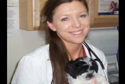huntington beach vet