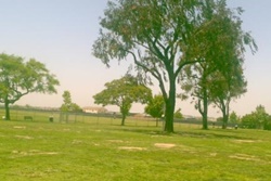 dog park in huntington beach