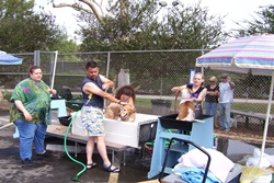 dog park in huntington beach