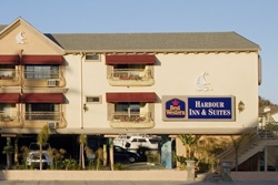 pet friendly hotel in huntington beach, california dog friendly hotel in costa mesa