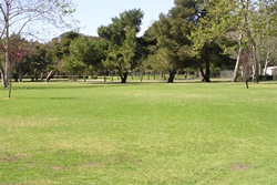 dog park in huntington beach