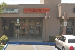 vet in huntington beach
