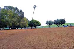 dog park in huntington beach